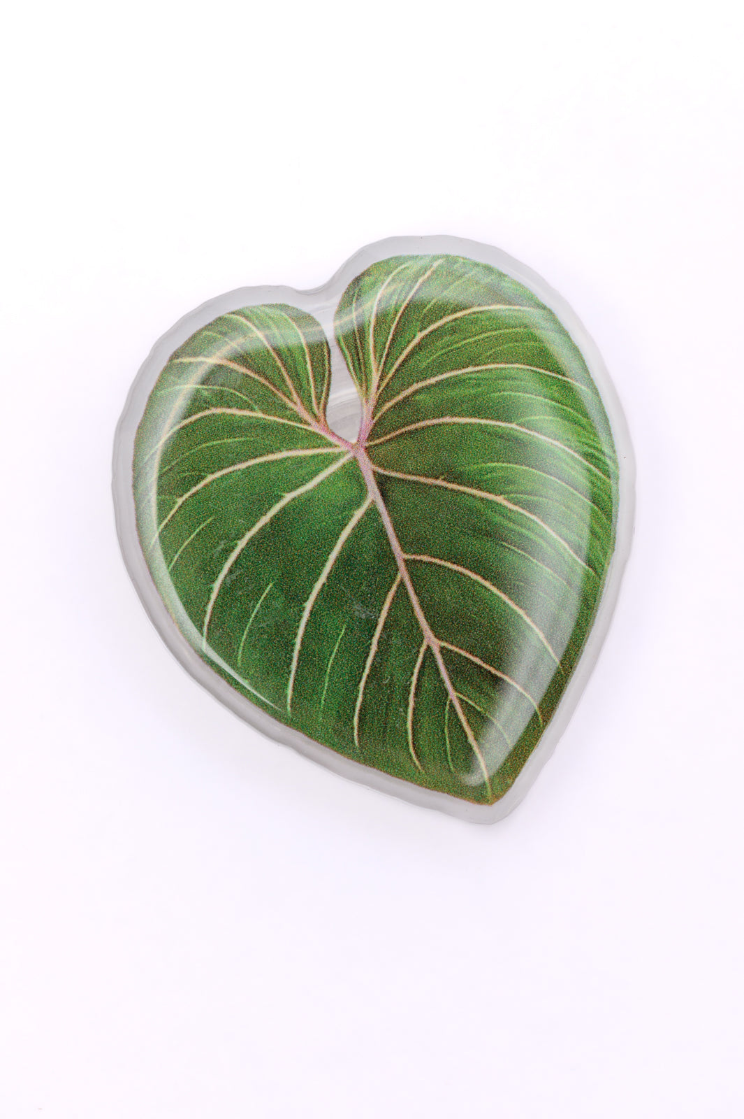 Plant Lover Phone Grip Tropical Leaf - ONLINE EXCLUSIVE!